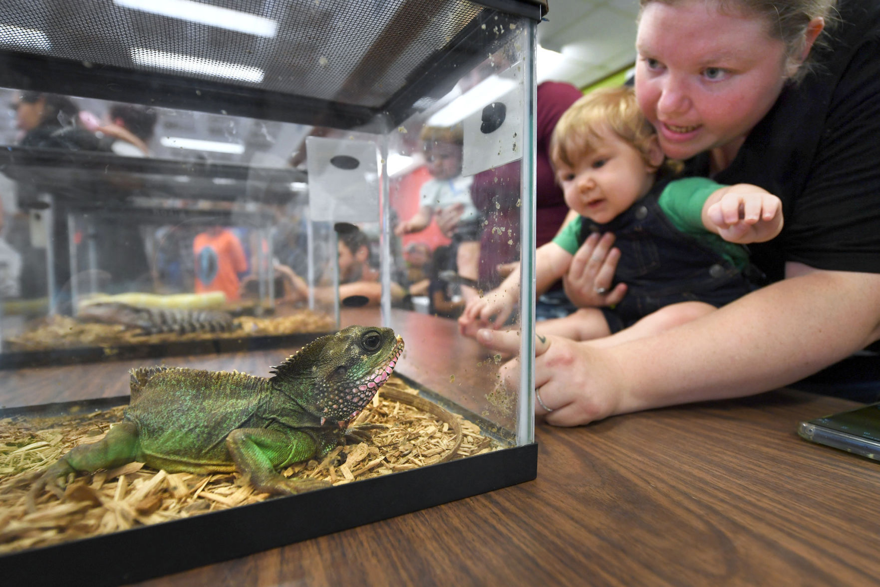 Animal Day at the library